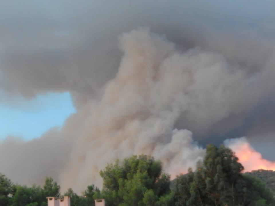 Incendios en Francia obligan a evacuar al menos a 10 mil personas